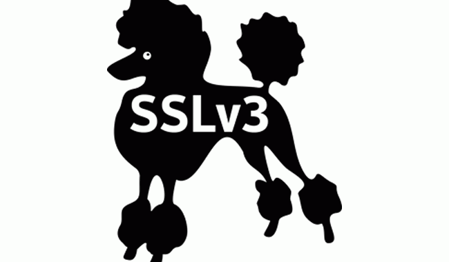 poodle-ssl3-vulnerability